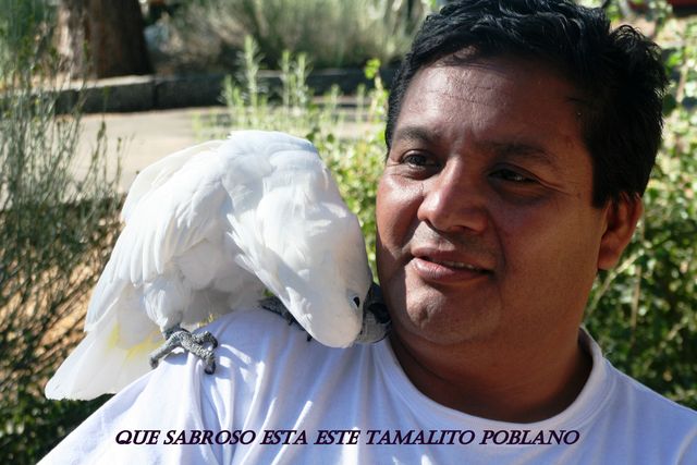 Sin Nombre